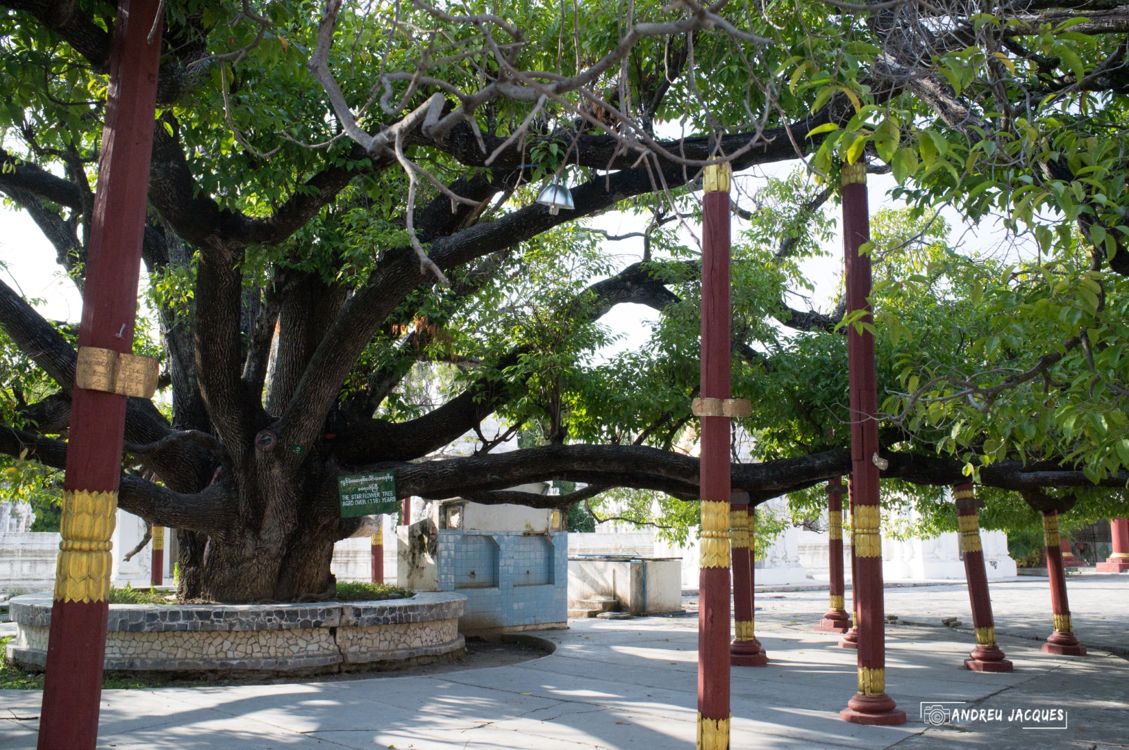 birmanie-134 (Grand).jpg